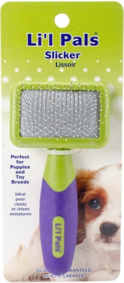 Lil Pals Tiny Slicker Brush for Small Dogs and Puppies