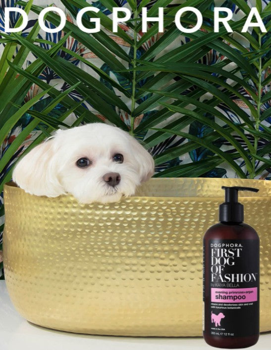 Dogphora First Dog of Fashion Shampoo