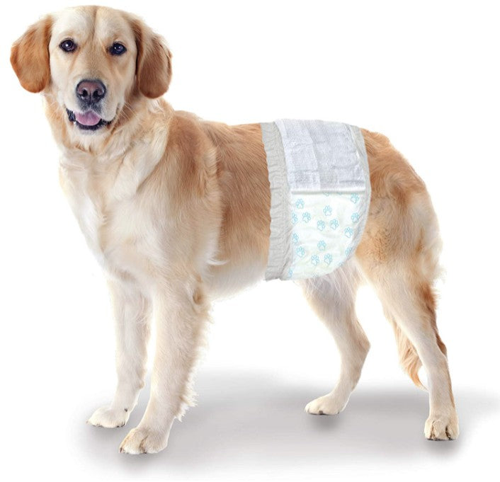 Four Paws Wee Wee Disposable Male Dog Wraps Medium/Large