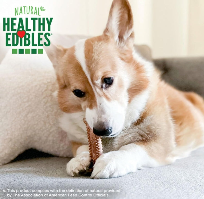 Nylabone Healthy Edibles Meaty Center Chews Beef Small