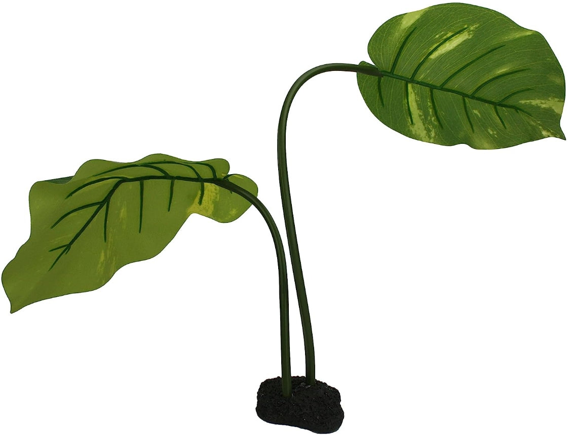 Komodo Woodland Canopy Terrarium Plant