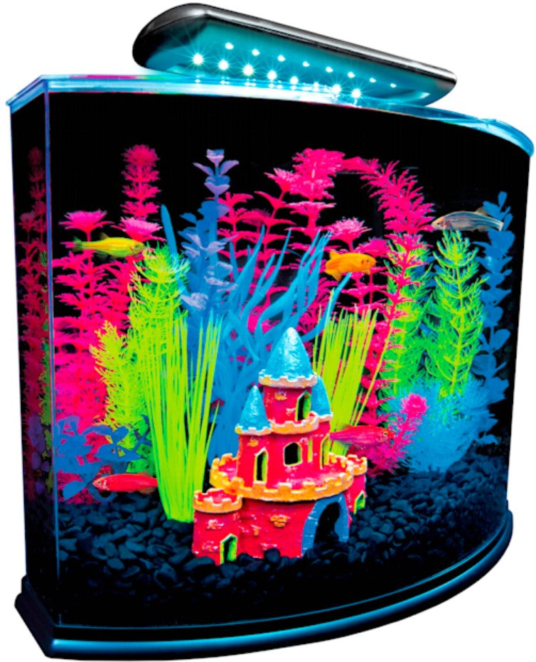 GloFish Aquarium Kit with LED Light 5 Gallons