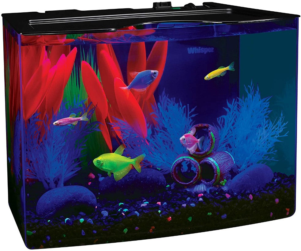 GloFish Aquarium Kit with LED Light 5 Gallons