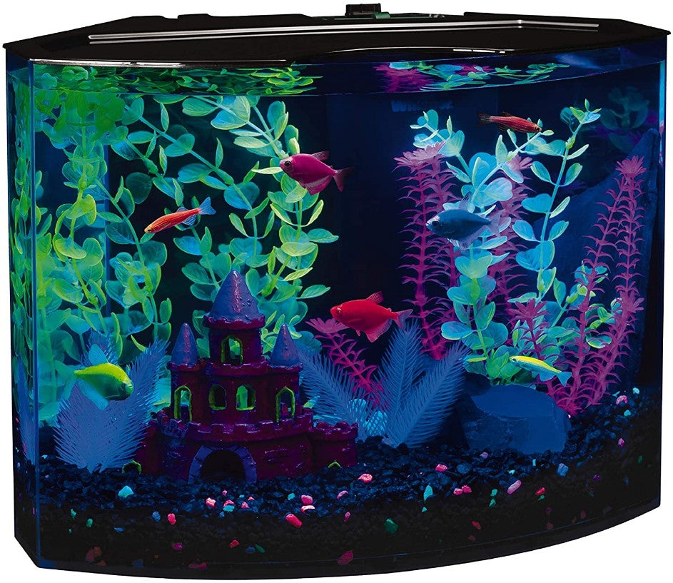 GloFish Aquarium Kit with LED Light 5 Gallons